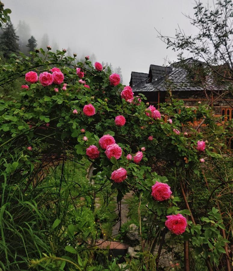 Old Brahma Homestay *