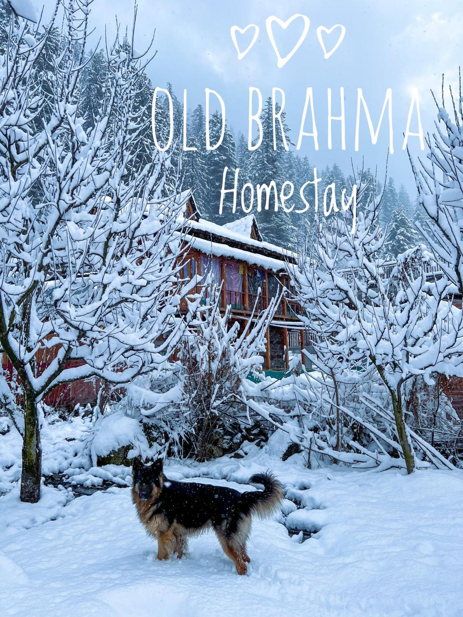 Homestay Old Brahma